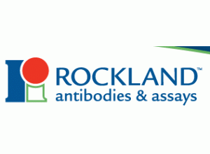 Rockland Inc代理主圖