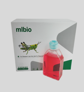 Neuro-2a小鼠腦神經(jīng)瘤細胞主圖