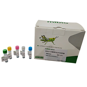 禽傳染性支氣管炎病毒793B型探針法qRT-PCR試劑盒(不含內(nèi)參)主圖