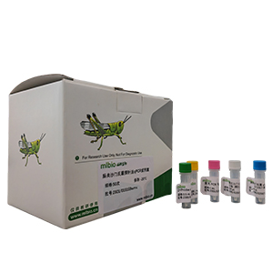 阿洛夫奧斯特線蟲探針法qPCR試劑盒(不含內(nèi)參)主圖