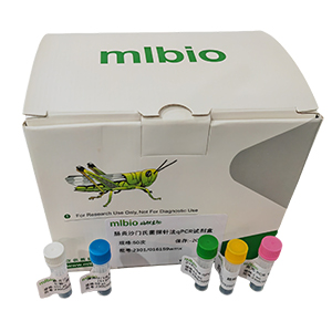 人腺病毒D23型探針法qPCR試劑盒(不含內(nèi)參)主圖