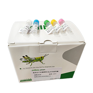 脊髓灰質炎病毒1型探針法qRT-PCR試劑盒(不含內參)主圖