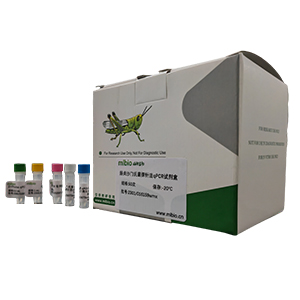 埃柯病毒14型探針法qRT-PCR試劑盒(不含內(nèi)參)主圖