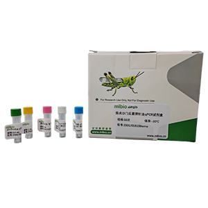 GMO外源CpTI基因探針?lè)╭PCR試劑盒(不含內(nèi)參)主圖