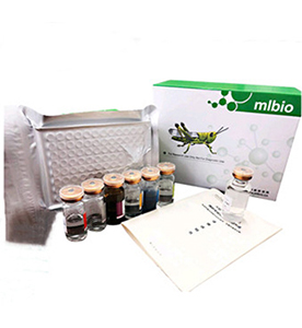 大鼠磷酯酶Cγ鏈(PLCγ1)試劑盒  主圖