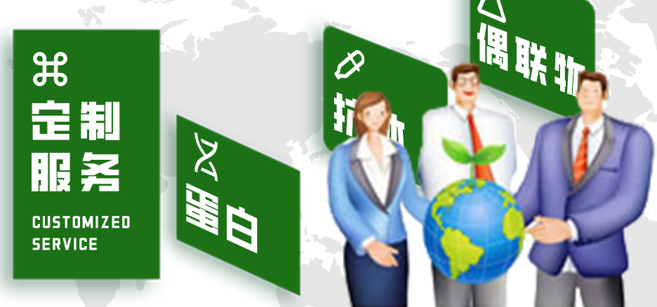 定制服務(wù)，蛋白，抗體，偶聯(lián)物
